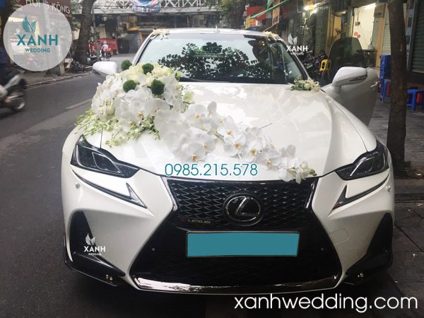 Xe cưới Lexus rs250 2019 màu trắng mui trần
